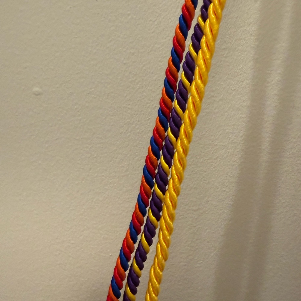 Multicolor Graduation Cords | university honor tassels cords - Picture 3 of 4